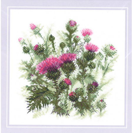 Kit Thistle