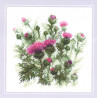 Kit Thistle