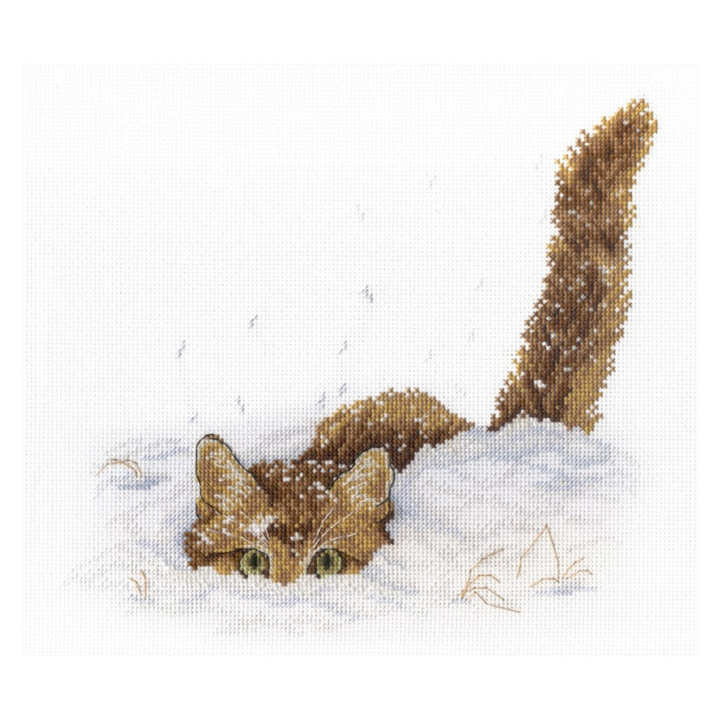 Kit Cat in the snow