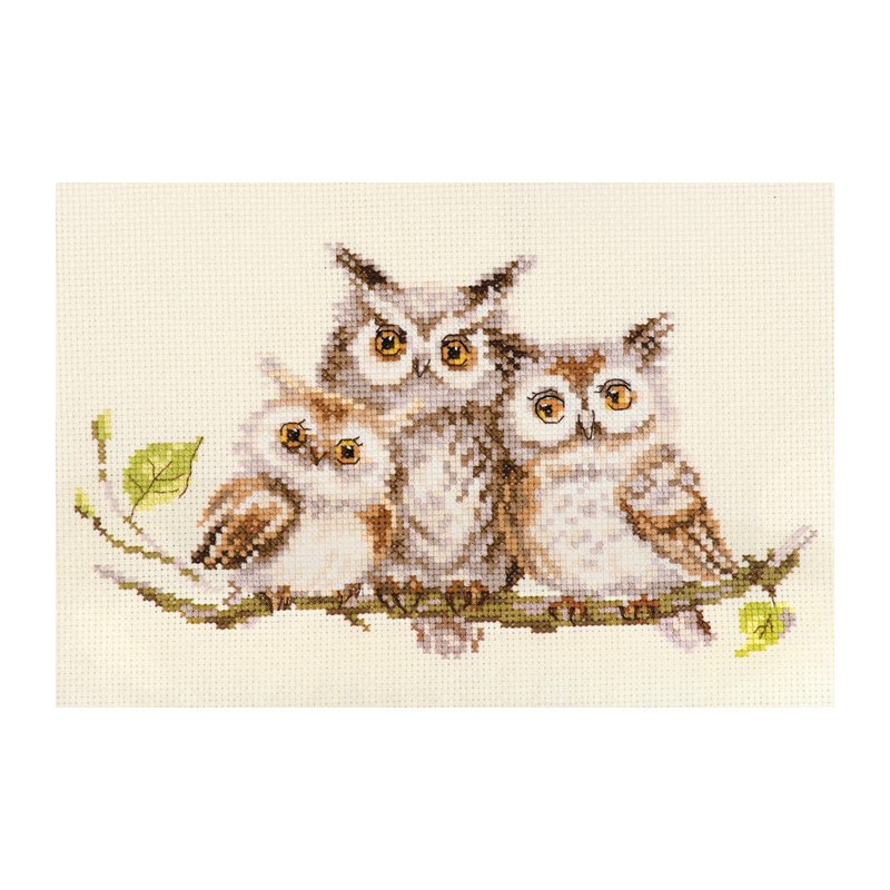 Kit Owls