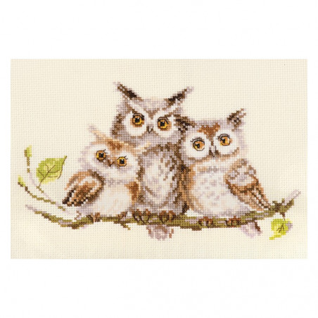 Kit Owls