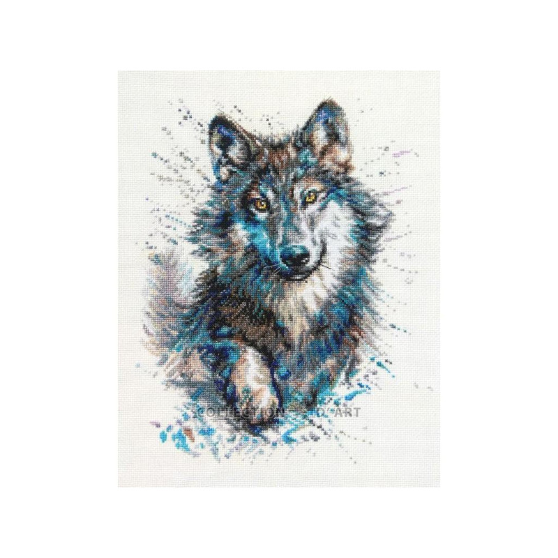 Kit Snow splashes wolf