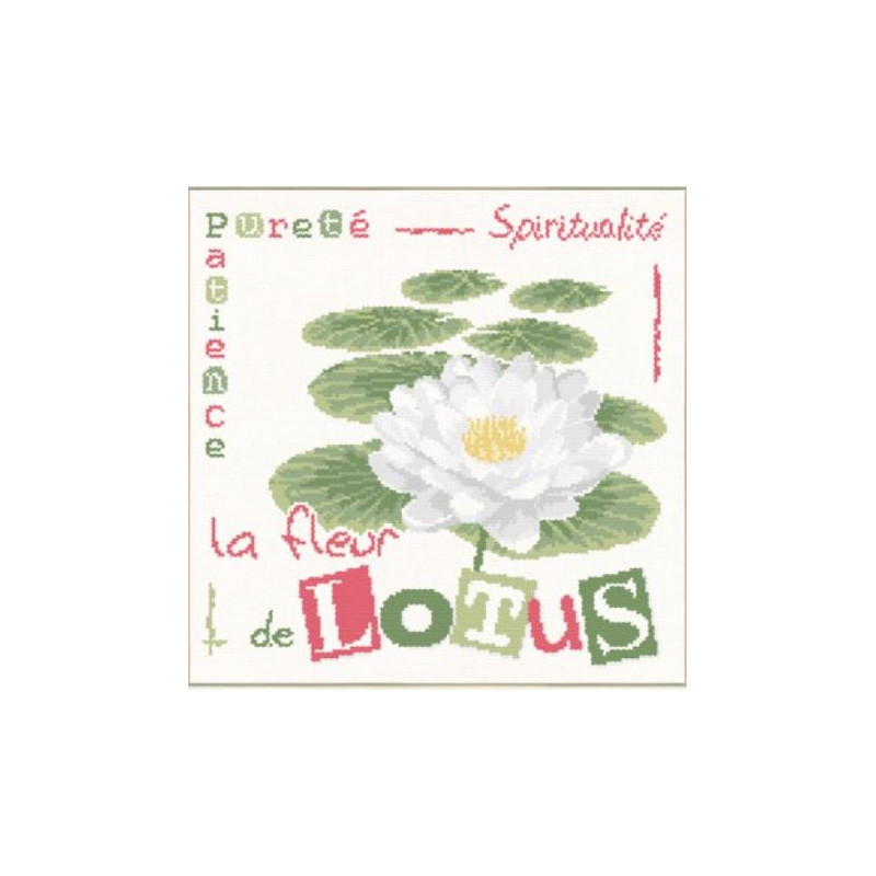 Fiche de Lili points Lotus
