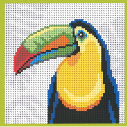 Canevas Toucan