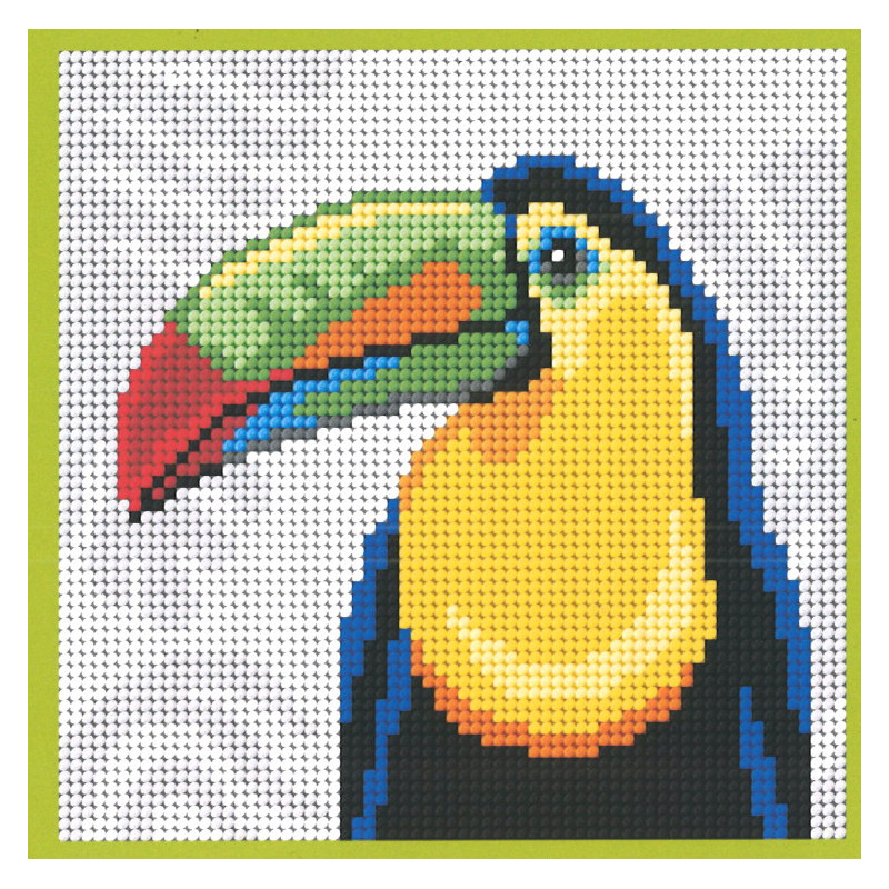 Canevas Toucan