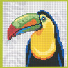 Canevas Toucan