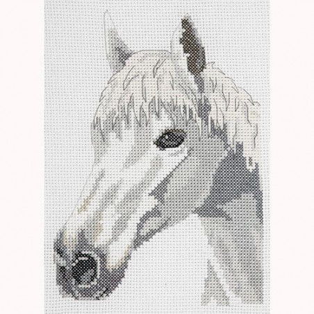 KIT  White beauty horse