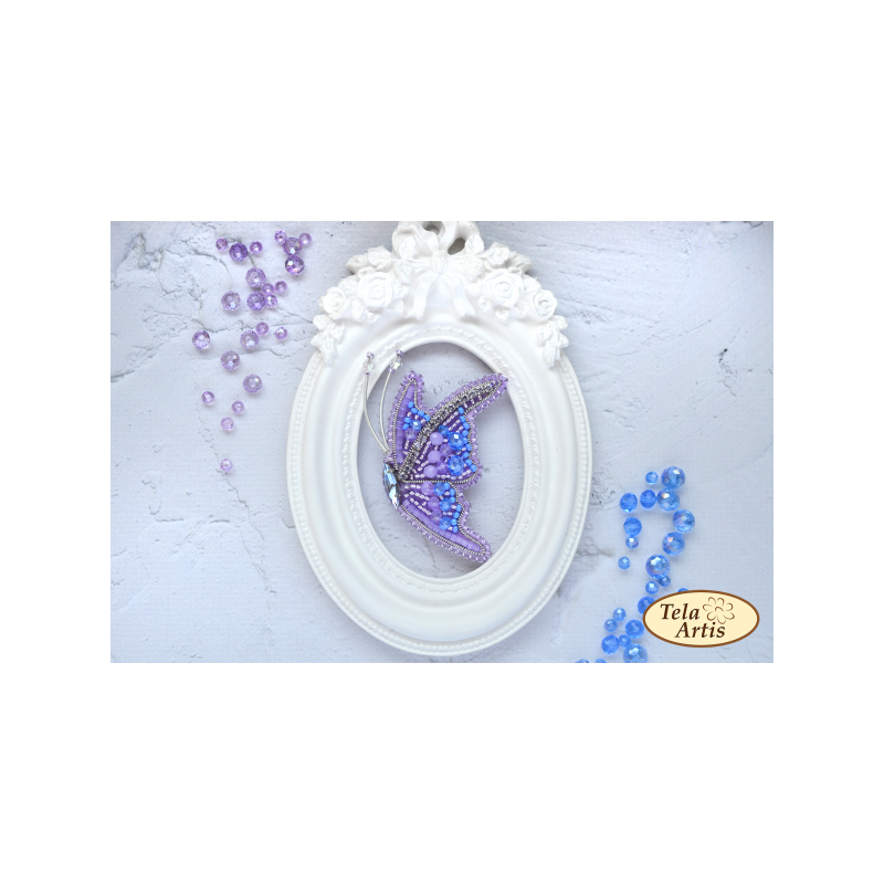 Kit Papillon magique