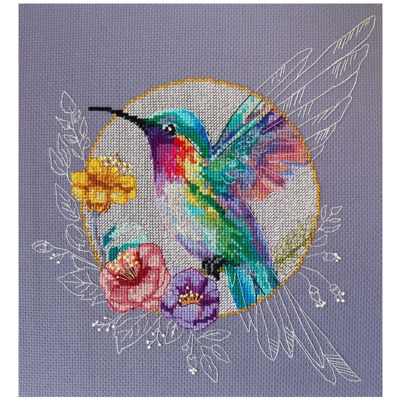 Kit Bird of paradise