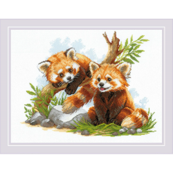 Kit Red panda
