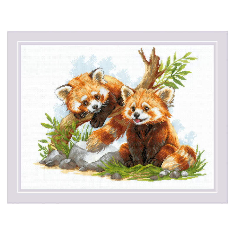 Kit Red panda