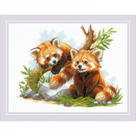 Kit Red panda