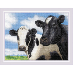 Kit Cows
