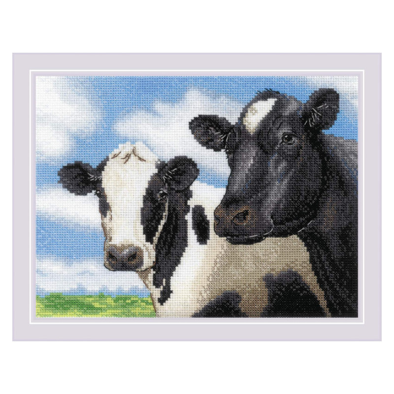 Kit Cows