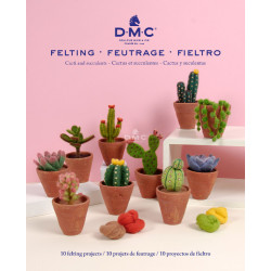 Livre feutrage Cactus et succulents