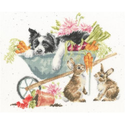 Kit Sleeping On The Job